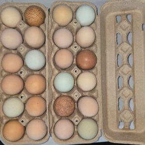 Farm Fresh Eggs