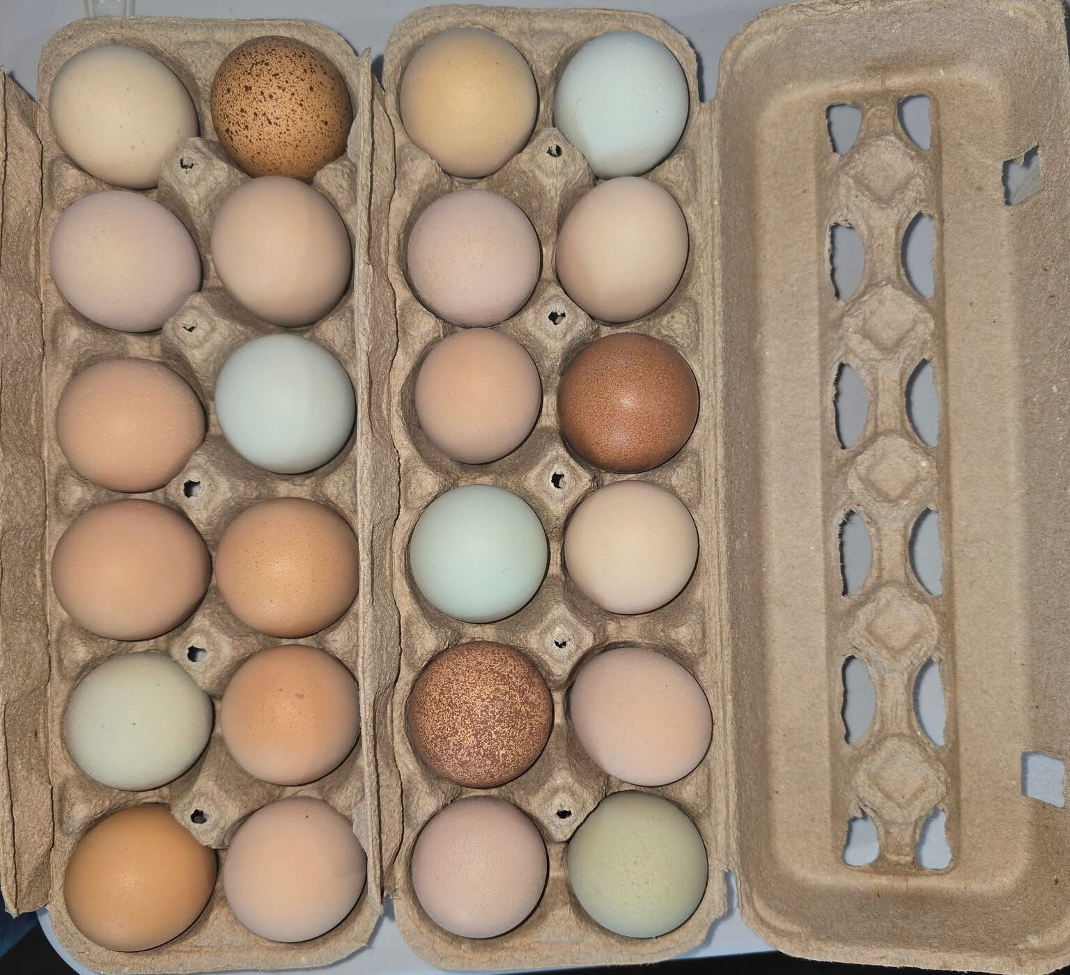 Farm Fresh Eggs